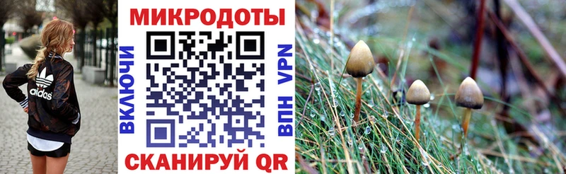 Псилоцибиновые грибы мухоморы  Купить закладки  Нальчик 